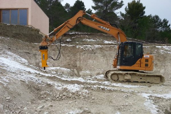 s130-new-decal-maxima-case-cx135-w580